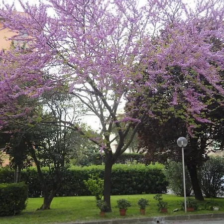 Cisanello House Penzion