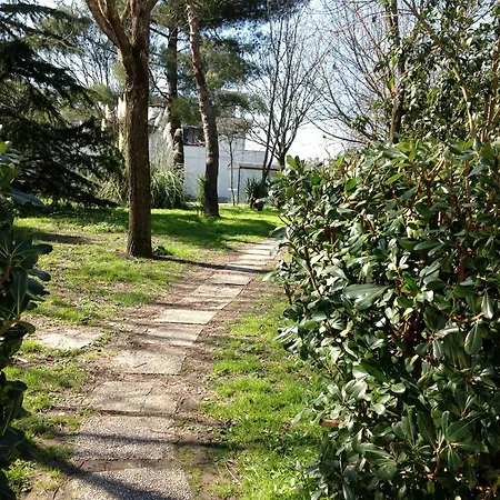 Penzion Cisanello House *