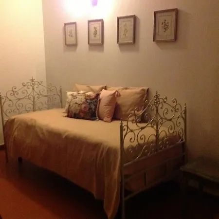 Cisanello House Pisa
