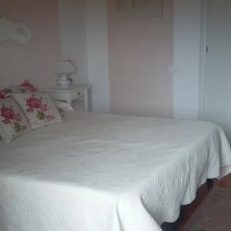 Guest house Cisanello House