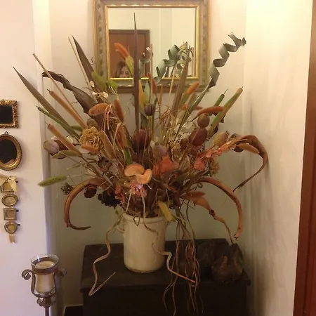 Cisanello House Guest house Pisa