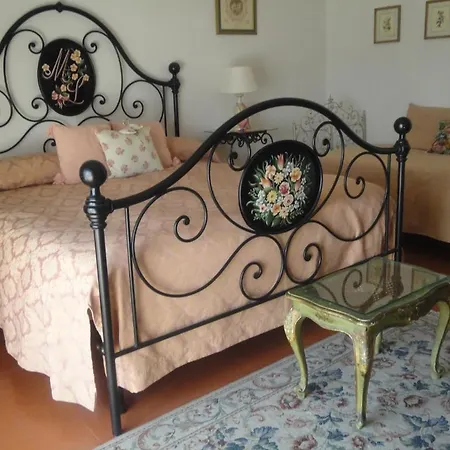 Cisanello House Guest house *