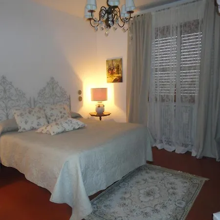 Guest house Cisanello House *