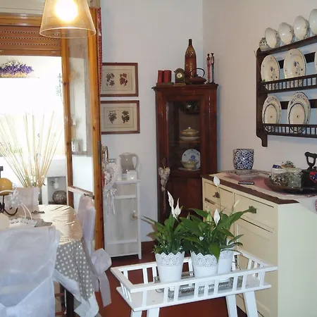 Pensjonat Cisanello House 3*