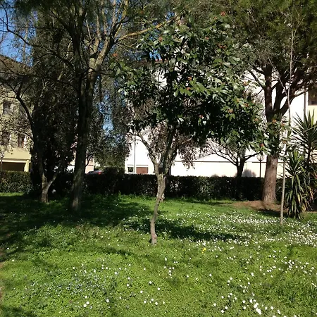 Cisanello House Pise
