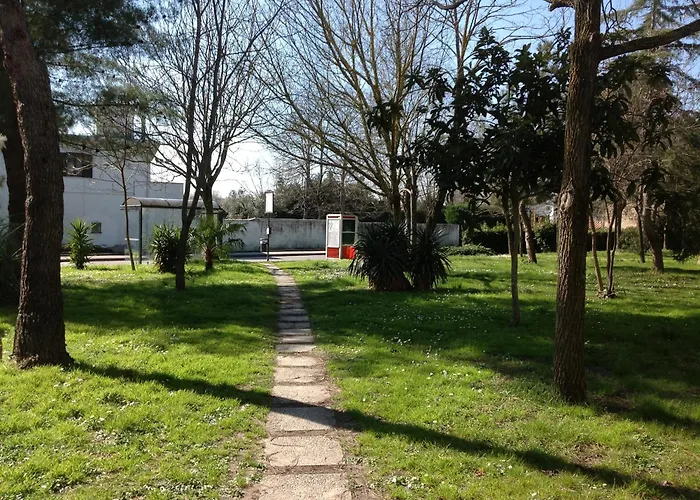 Maison d'hôtes Cisanello House