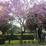 Cisanello House Gæstehus